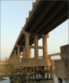 水浸萬年松 渭橋遺址到浉河舊橋