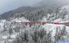 瑞士列車雪中駛過百年大橋 美如童話仙境